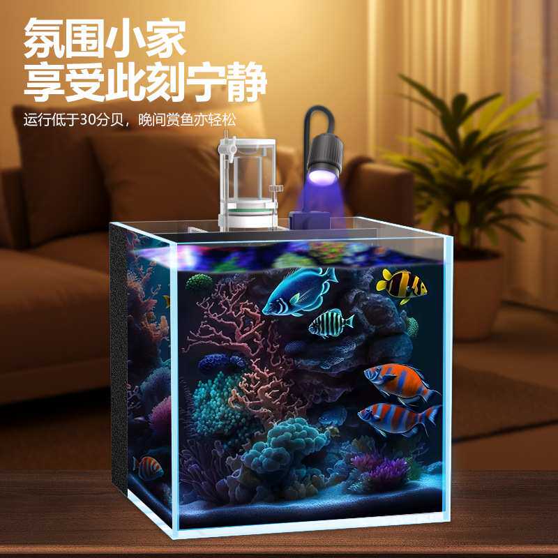 背滤海水缸全套设备小型客厅桌面珊瑚造景方缸超白玻璃小丑鱼海缸