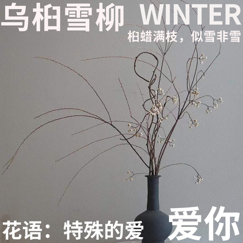 稀有花材北京同城可闪送鲜切花
