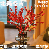 半夏森林进口冬青鲜切枝春节新年水培绿植客厅北京同城 年宵花