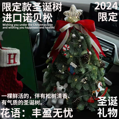 半夏森林圣诞树送挂饰北京同城
