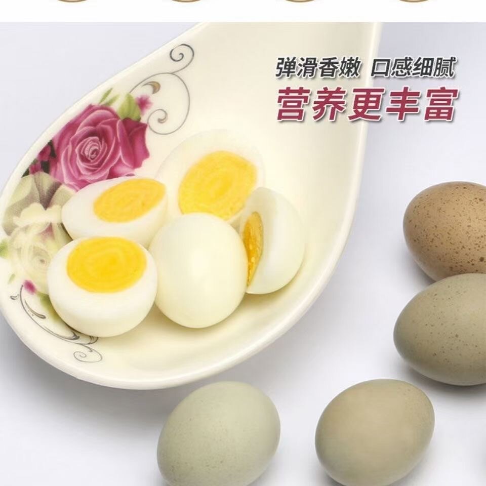 卤丁鸡蛋可食用新鲜营养鸟蛋宝宝辅食迷你散养小鸡蛋包邮卤丁鸡蛋