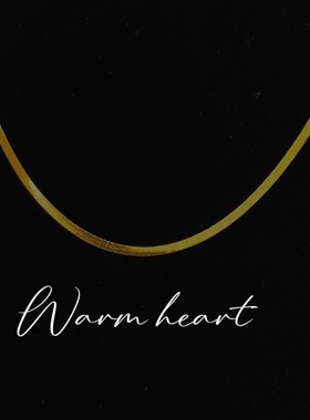 欧美时尚简约镀18K金刀片扁链项链女粗链钛钢蛇骨链礼物博主同款