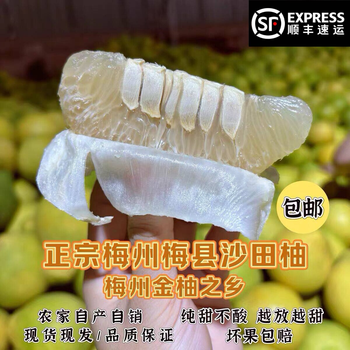 纯甜包邮正宗梅州沙田柚当季新鲜水果广东特产非广西容县蜜柚红柚