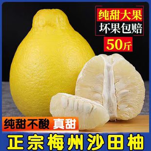 30-50斤包邮正宗梅州沙田柚子广东金柚白肉孕妇甜水果新鲜非容县