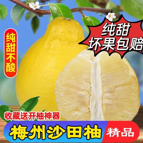 包邮正宗梅州沙田柚广东柚子金柚白心肉孕妇新鲜当季纯甜水果整袋
