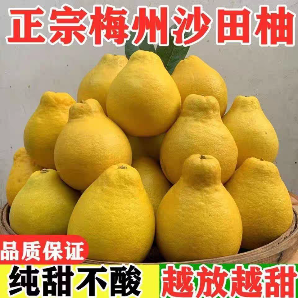 包邮正宗梅州沙田柚子金柚纯甜孕妇新鲜水果当季现摘老树果10斤装,水产肉类/新鲜蔬果/熟食,柚子,淘宝优惠券,粉丝福利购,淘宝优惠卷