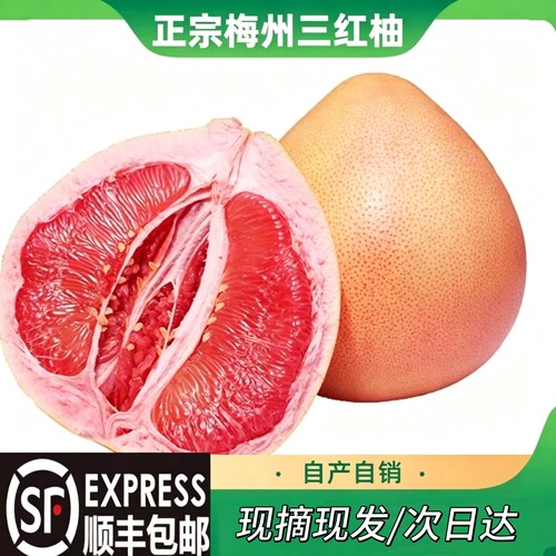 梅州老树三红蜜柚现摘现发
