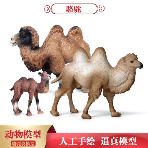 儿童玩具教学仿真静态实心野生动物模型玩具骆驼装饰摆件手办套装