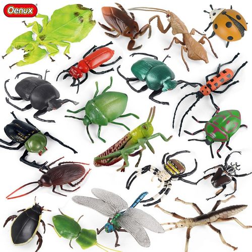 实心昆虫环保材质动物模型
