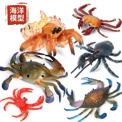 儿童仿真实心静态海洋生物模型玩具螃蟹寄居蟹帝王蟹塑胶认知摆件