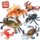 儿童仿真实心静态海洋生物模型玩具螃蟹寄居蟹帝王蟹塑胶认知摆件