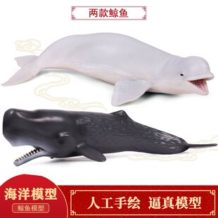 儿童科教玩具实心仿真海洋动物模型摆件白鲸抹香鲸塑胶手办模型
