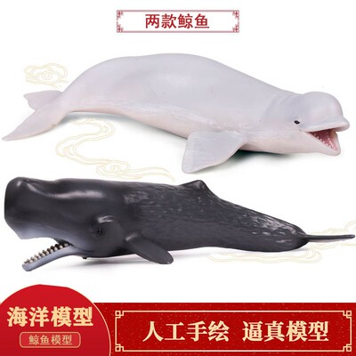 儿童科教玩具实心仿真海洋动物模型摆件白鲸抹香鲸塑胶手办模型