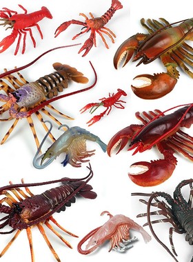 儿童认知玩具仿真海洋动物模型海底生物大号龙虾寄居蟹螃蟹皮皮虾