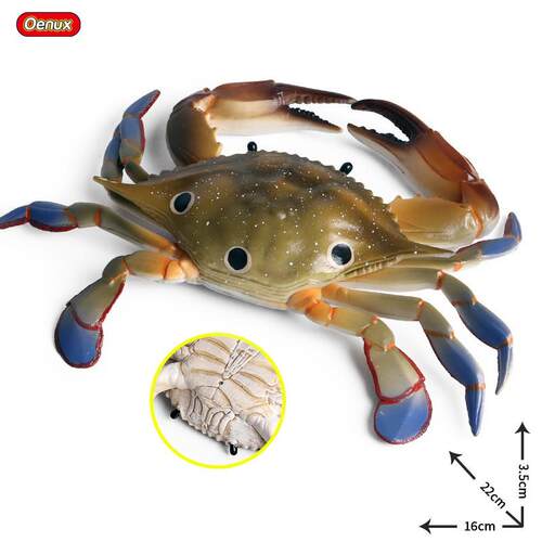 儿童玩具仿真动物模型海洋生物小摆件三点蟹梭子蟹海螃蟹早教认知