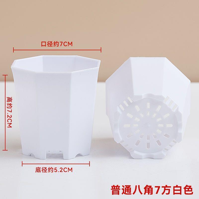 多色24孔多肉花盆塑料托架搬运小黑方小彩方育苗盆套餐包邮