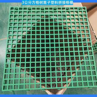 现货洗车网格板鸽舍养殖场树篦子格栅盖板 3公分方格塑料拼接格栅