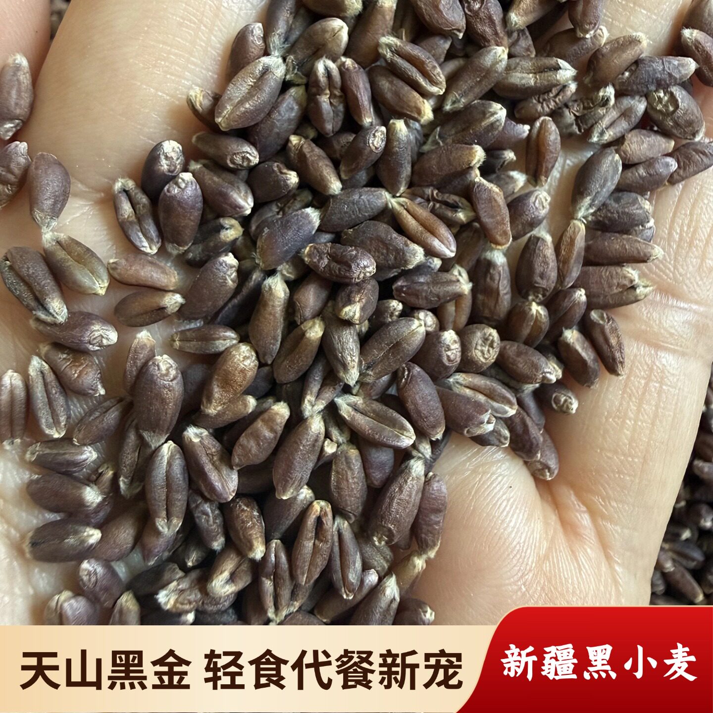 新疆天然黑小麦仁煮粥五谷杂粮