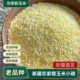 新疆老品种香糯玉米碴子小碴子粥新黏碴细粘糯碴子米饭伴侣玉米糊