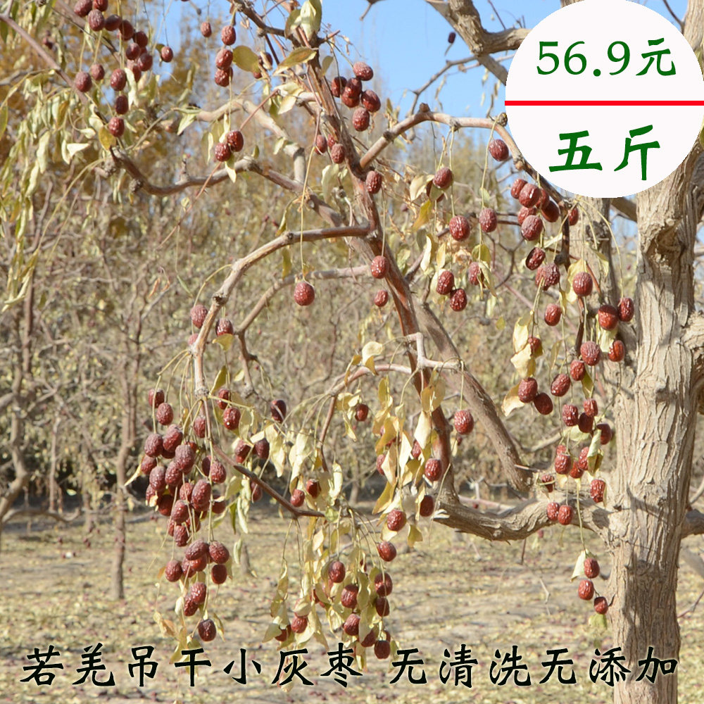 新疆若羌吊干灰枣古法种植无清洗五斤装小红枣口感香甜煲汤煮粥