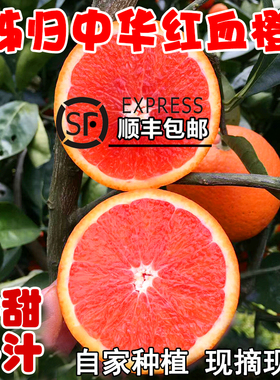 秭归血橙橙子新鲜10斤大果水果当季整箱湖北红肉雪橙红心中华红橙