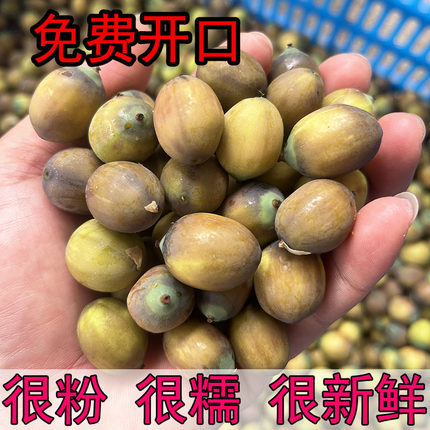 新鲜老莲米现摘成熟莲子带壳褐色莲子米粉糯红莲江西老莲子去壳