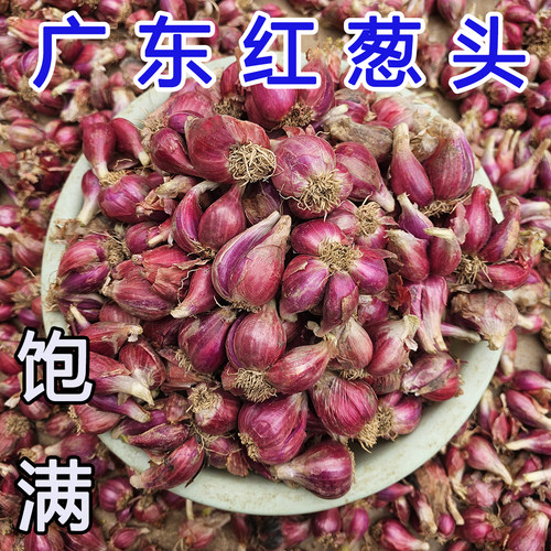 正宗广东红葱头食用葱酥