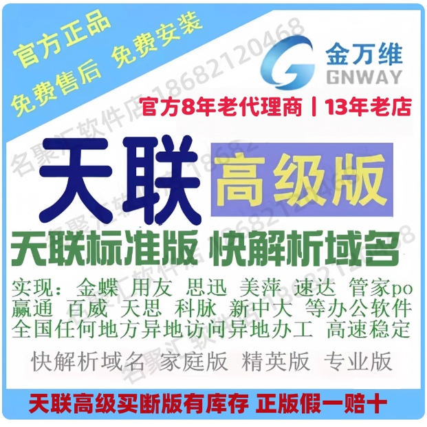 金万维天联高级版加速版快解析家庭专业版异速联ERP软件远程访问