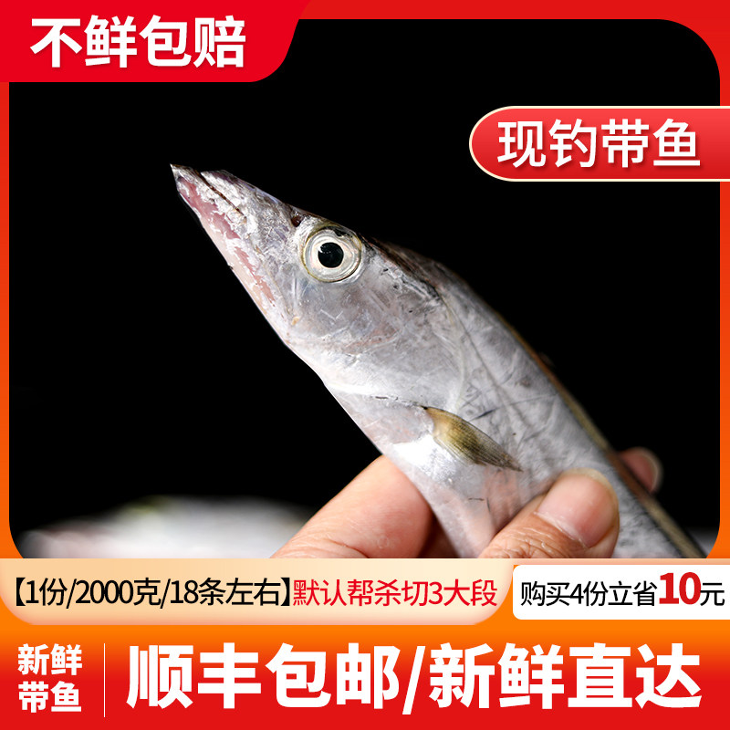 渔民的孩子每日现捕新鲜海鲜水产本港黑眼带鱼网带海捕刀鱼2000g