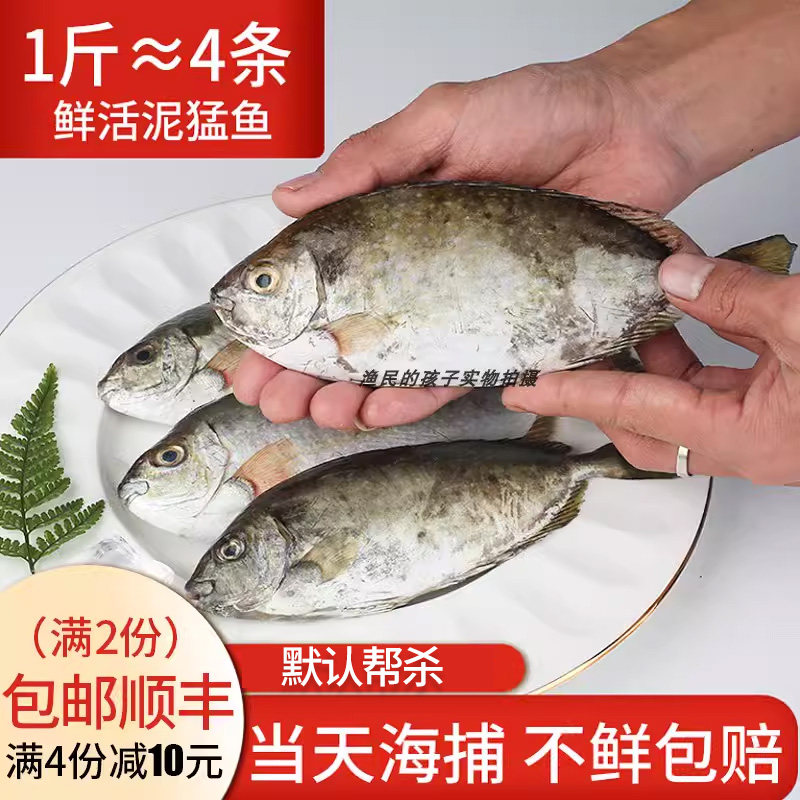 渔民的孩子当天现捕秋叶鱼福建海捕刺篮子鱼娘艾鱼新鲜泥猛鱼500g