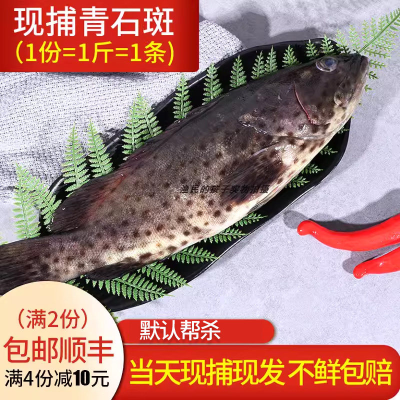 渔民的孩子当天现捕海捕青石斑鱼鲜活海捕青斑大石斑小石斑500g条