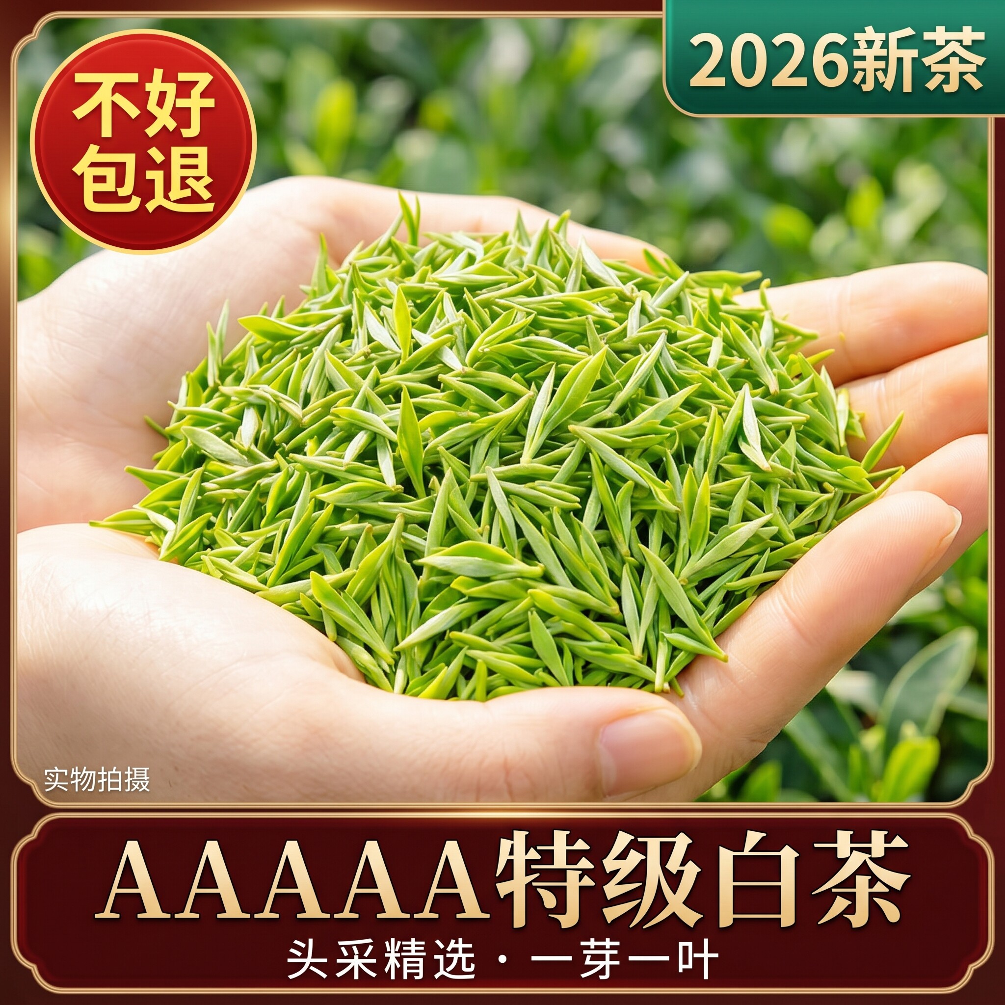 【头采嫩芽】白茶2026新茶一芽一叶安吉产正宗浓香型兰花香批发