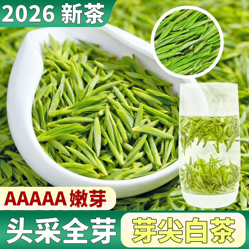 【头采全芽白茶嫩芽】2026新茶安吉云顶浓香头春明前毛尖茶天花板