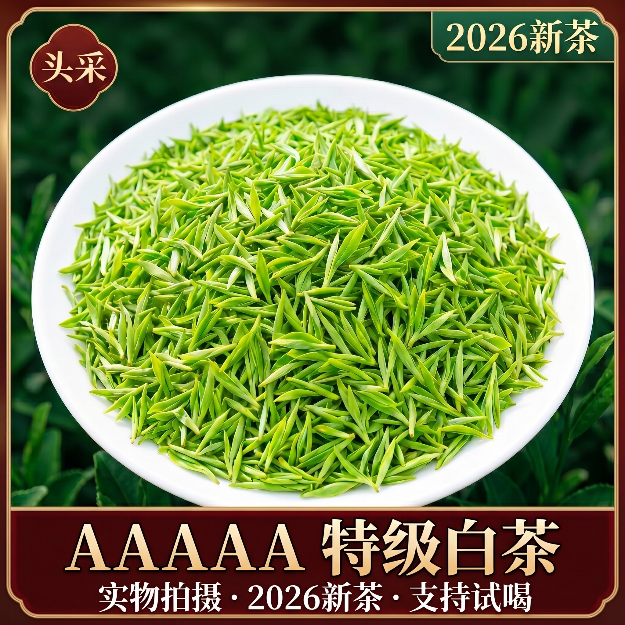【头采白茶一芽一叶】2026浓香型安吉云顶特级新茶回甘春茶罐装