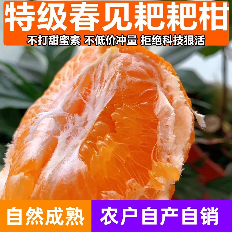 四川春见耙耙柑10斤粑粑柑橘子新鲜水果当季整箱丑桔纯甜现摘现发,水产肉类/新鲜蔬果/熟食,桔子,淘宝优惠券,粉丝福利购,淘宝优惠卷
