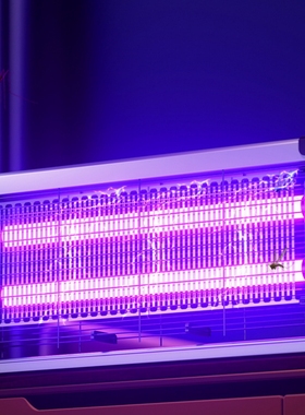 Electric Indoor Insect Killer, Bug Zapper, Fly , Mosquito