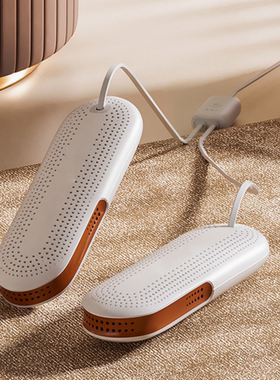 Shoe Dryer, Boot Dryer for Work Boots, Electric  Shoe Warmer