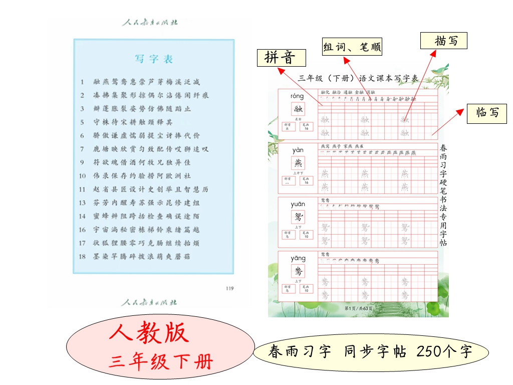 三年级下册同步字帖人教版语文小学生字帖 送笔画 春雨习字