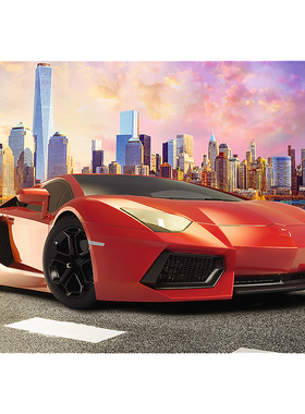 Trefl进口拼图1000片 夕阳下行驶10601