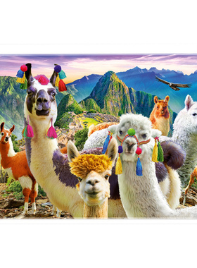 Trefl进口拼图500片七彩羊驼37383成年减压益智玩具礼品