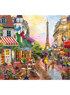 Trefl特福进口拼图1500片 迷人的巴黎 成年减压益智玩具礼品26156