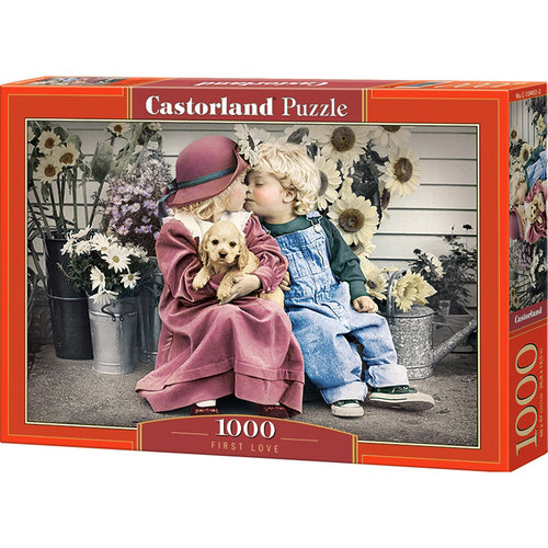 castorland巧思波兰进口