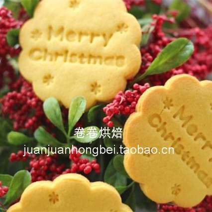 烘培新款圣诞创意饼干模烘焙工具