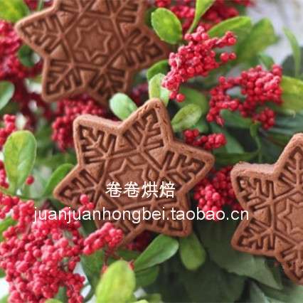 雪花新款圣诞创意饼干模烘焙工具