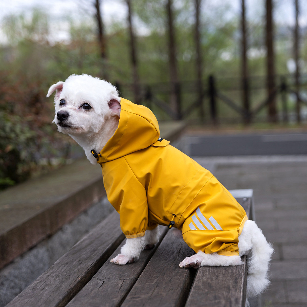 小狗单层冲锋衣防水户外雨衣小型犬小狗四脚全包雨衣泰迪比熊雨披