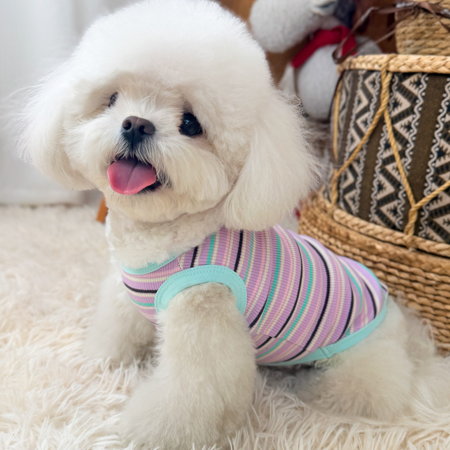 宠物狗狗衣服纯棉夏秋装韩系猫咪衣服泰迪比熊小型犬秋季薄款背心