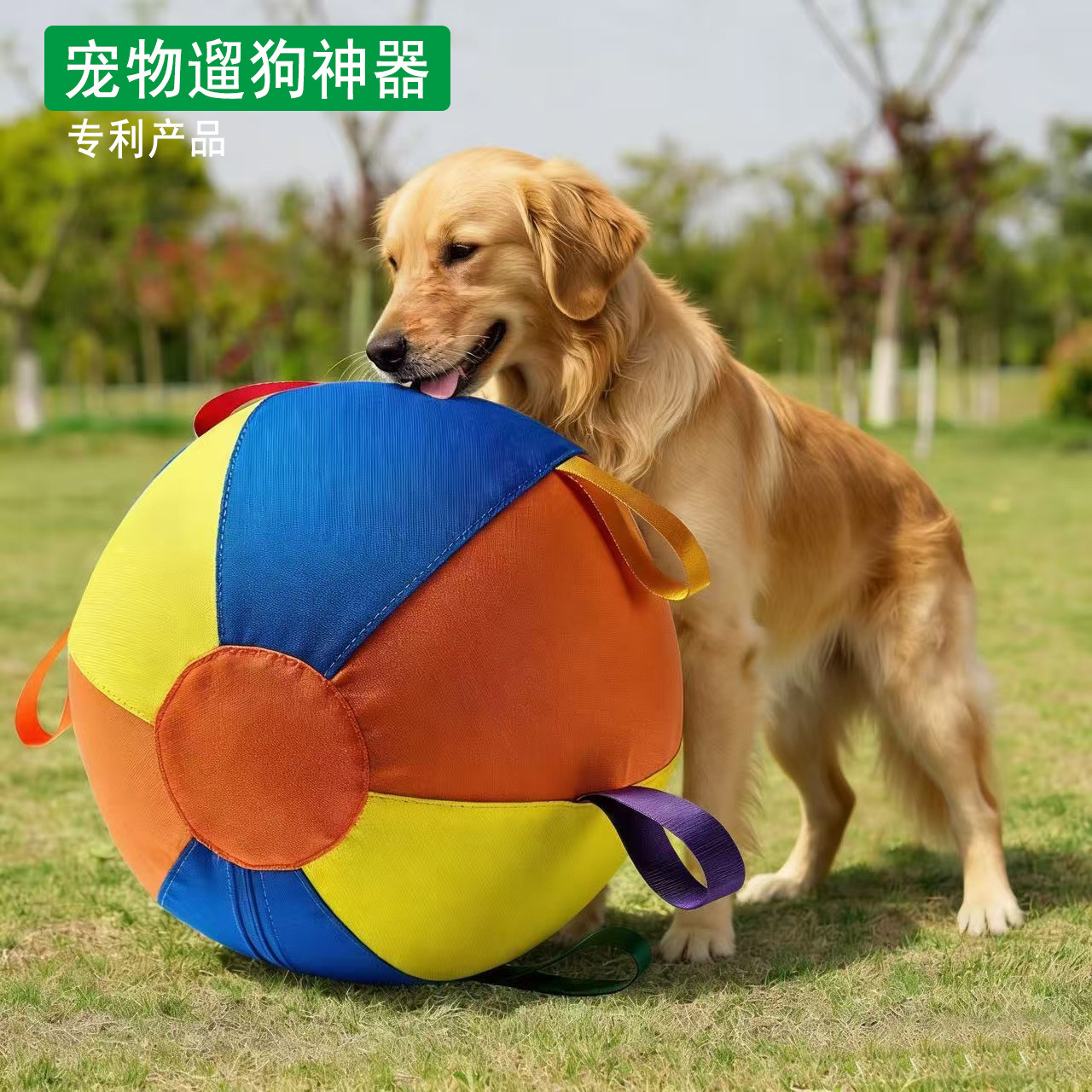 超大号宠物玩具球弹跳球边牧金毛狗狗玩具耐咬解闷大球巨型圆球