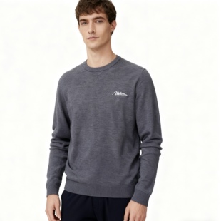 男士 圆领套头宽松百搭打底针织衫 羊毛衫 新款 毛衣 2025秋季 海家时尚