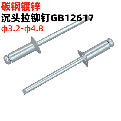 金固盈全铁镀锌抽芯铆钉