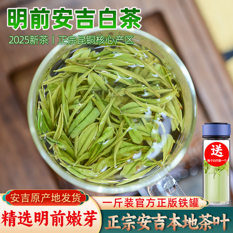 昆铜安吉白茶明前500g官方铁罐装